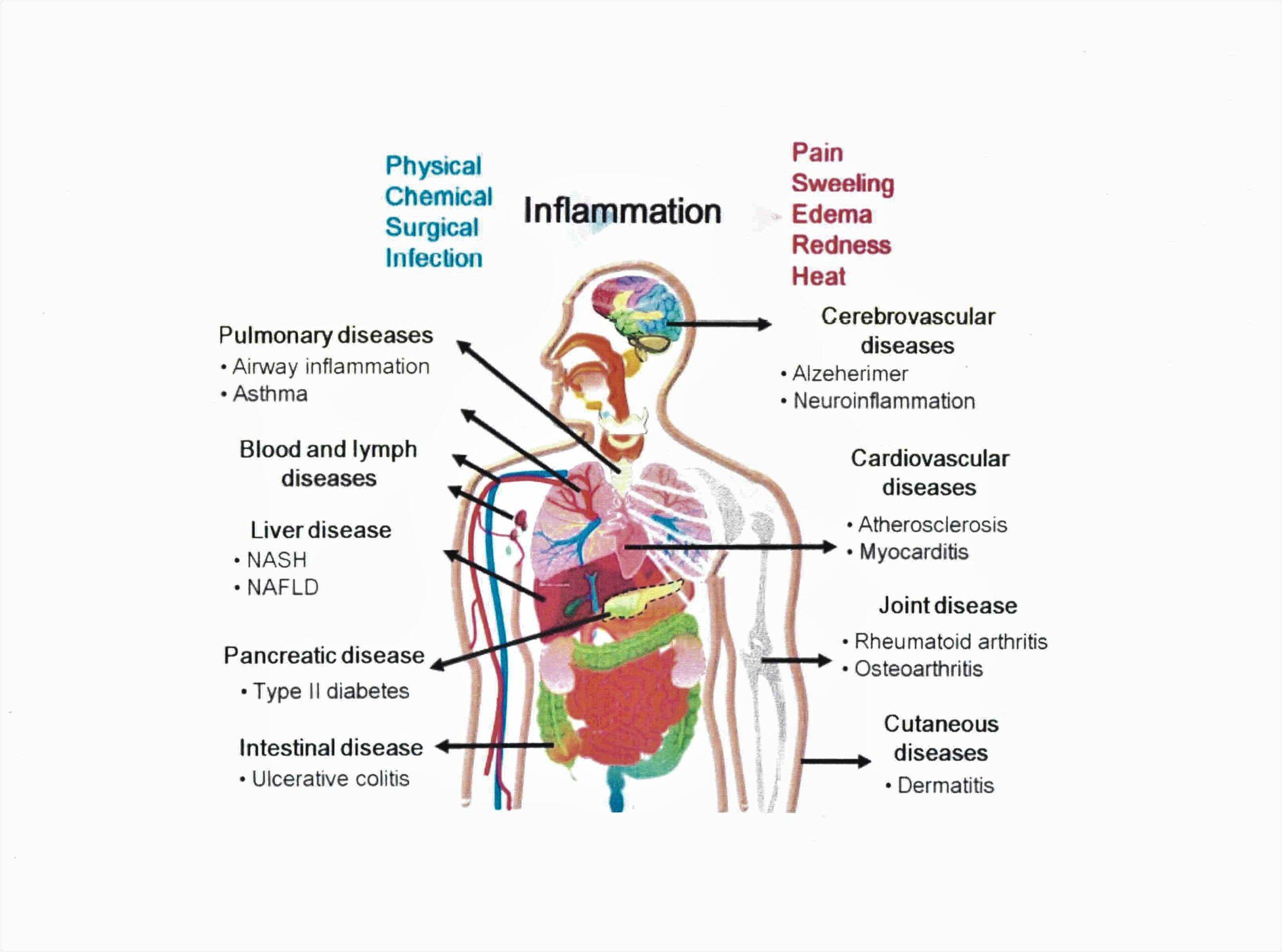 Preventative Medicine Immuno-therapy via Antioxidants & Anti ...